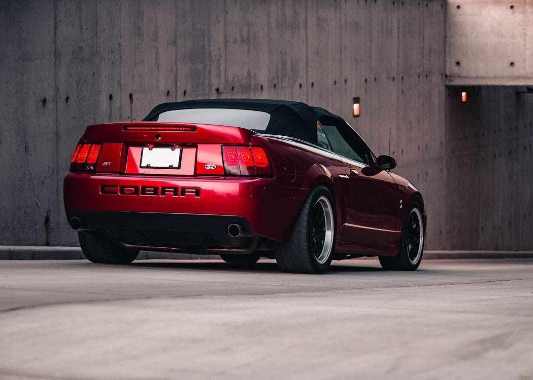 Mustang Cobra